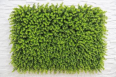 《足球经理2024》玩家人数突破600万 不到2个月